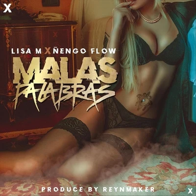 Malas Palabras (feat. Ñengo Flow) 專輯 Ñengo Flow/Sniper SP