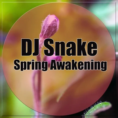 Spring Awakening 專輯 白龍/DJ Snake/Ishtar/Dead/Mr.T