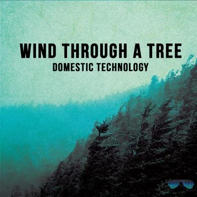 Wind Through a Tree 專輯 Domestic Technology