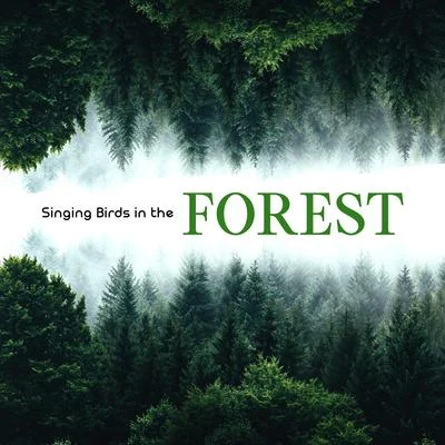 Singing Birds in the Forest: 15 Best Relaxing Songs, Calming Music for Hard Day, Nature Sounds with Piano Melodies, Relax Your Mind 专辑 The Calming Sounds of Nature/Nature Sounds for Sleep and Relaxation