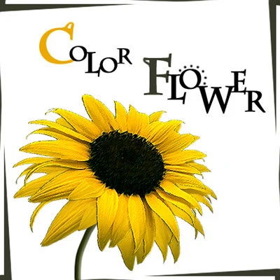 Color Flower 專輯 KCM