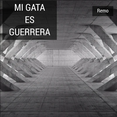 Mi Gata Es Guerrera 專輯 Bartek Kaszuba/Remo/Young Daniel