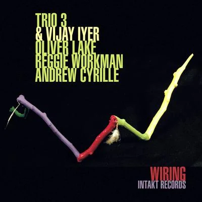 TRIO 3IYER, Vijay: Wiring 專輯 Vijay Iyer