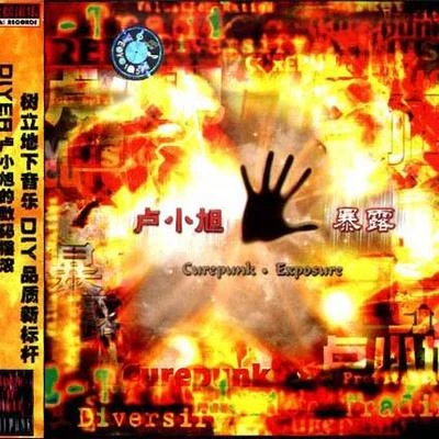 暴露 专辑 声音玩具 (Soundtoy)/卢小旭/阿修罗乐队/雷神/魏小石