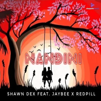 Nandini 專輯 Andrew Phillips/JaybEE/D.R/Remady/Criminal Vibes