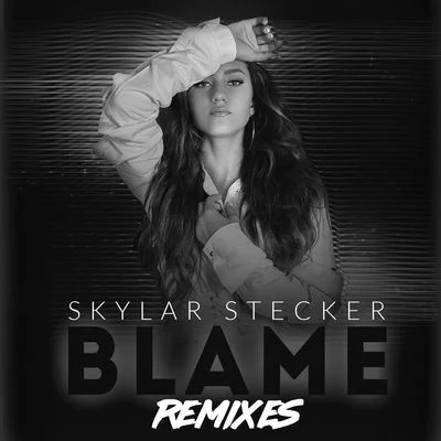 Skylar Stecker Blame (Remixes)