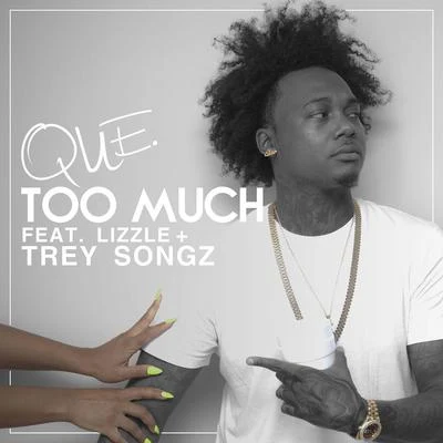 Too Much (feat. Lizzle & Trey Songz) 专辑 Trey Songz