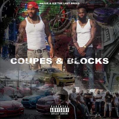 Coupes & Blocks 专辑 hayve/The Arcturians