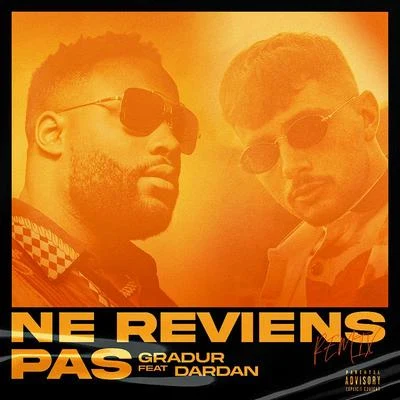 Dardan Ne reviens pas (Remix)