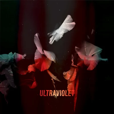 Ultraviolet 專輯 Bearcubs