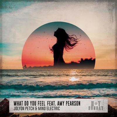 Jolyon PetchRobin S What Do You Feel (feat. Amy Pearson)