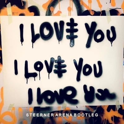 I Love You (Steerner Arena Bootleg) 專輯 Steerner/Jakob Liedholm