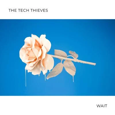 Wait 專輯 The Tech Thieves/Veorra