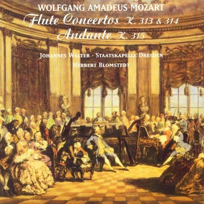 Johannes WalterAnísio Dias Wolfgang Amadeus Mozart: Flute Concertos Nos. 1 and 2Andante, K. 315 (Walter, Dresden Staatskapelle, Blomstedt)