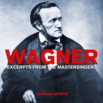 Wagner Excerpts From The Mastersingers 專輯 Pierre Amoyal/Paul Paray/Orchestre National de lOpéra de Monte-Carlo