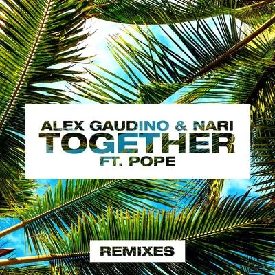 Together (Remixes) 專輯 Alex Gaudino/Arno Cost/Eddie Thoneick/Arias/Jean Claude Ades