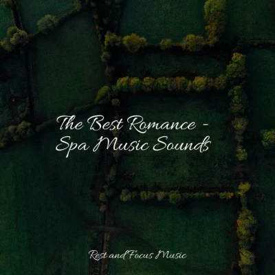 The Best Romance - Spa Music Sounds 專輯 Massage Tribe