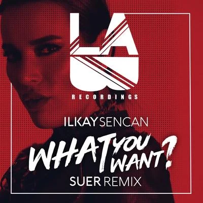 Ilkay SencanVintage CultureDimitri VegasYoelle What You Want (SUER Remix)