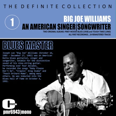 Big Joe Williams An American Singer, Songwriter, Blues Master, Vol. 1