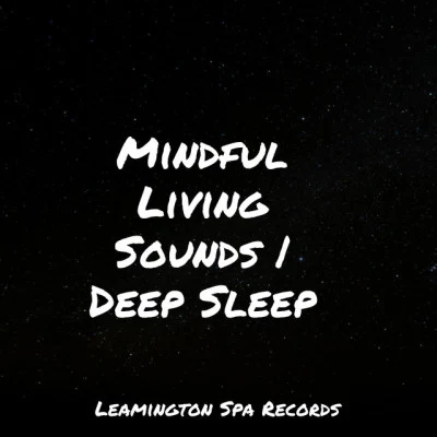 Mindful Living Sounds | Deep Sleep 专辑 Massage Therapy Music/Mother Nature Sound FX/Childrens Music