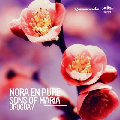 Uruguay 專輯 Nora En Pure