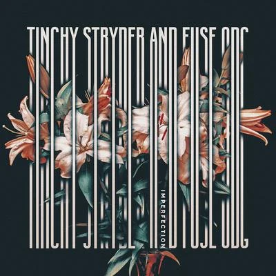 Imperfection 专辑 Tinchy Stryder