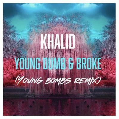 Young Dumb & Broke (Young Bombs Remix) 專輯 YOUNG BOMBS/Darius Rucker