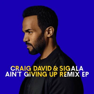 Aint Giving Up (Remixes) 專輯 Sigala