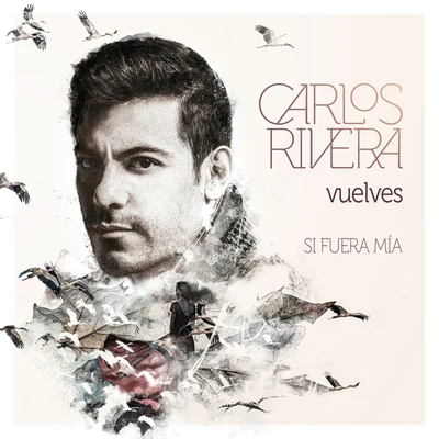 Vuelves (Si Fuera Mía) 專輯 Carlos Rivera/José Luis Perales