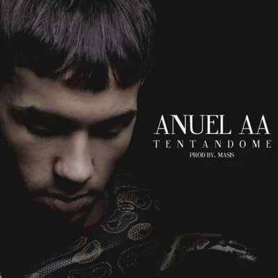 Tentandome 專輯 Anuel AA/Rauw Alejandro