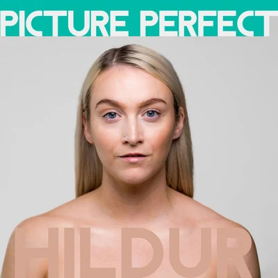 Picture Perfect 专辑 HILDUR/Fejká