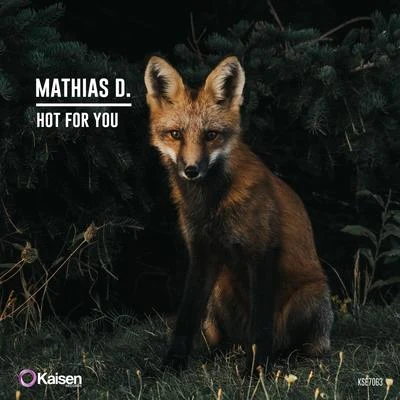 Hot For You 專輯 Loris Buono/Mathias D.