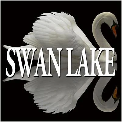 Tchaikovsky : swan lake the sleeping beauty [excerpts] 專輯 Alexander Lazarev