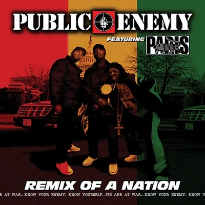 Remix of a Nation 专辑 Public Enemy