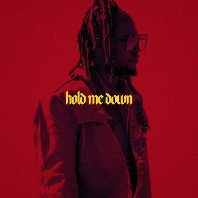 Hold Me Down 专辑 Jungleboi/Robin M