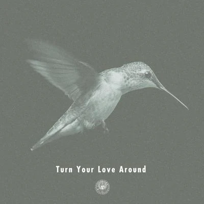 Turn Your Love Around 專輯 Ayden/AMPM