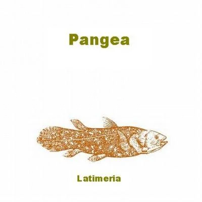 Latimeria 专辑 Pangea/Drakphaser/Whrikk