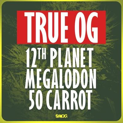 True OG 专辑 12th Planet/BAINBRIDGE/Mikey Ceaser