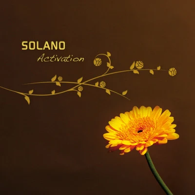 Solano Activation