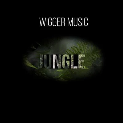 Jungle 專輯 WiGGER music/SAINt JHN