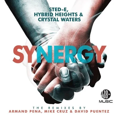 Synergy (The Remixes) 专辑 Sted-E/NXNY/Hybrid Heights