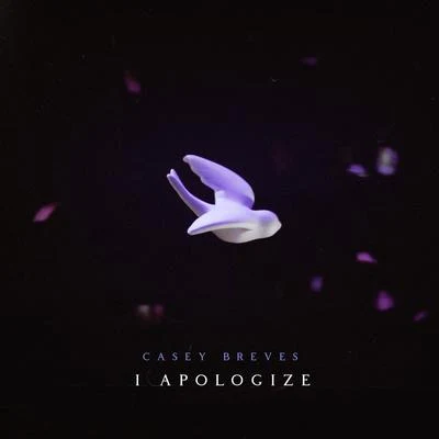 I Apologize 专辑 Janee/Casey Breves