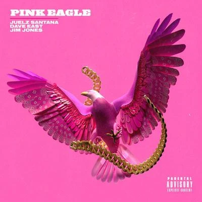 Pink Eagle (feat. Dave East, Jim Jones) 專輯 Juelz Santana/Ike Eyes/Donna Hunter/JR Writer/Camron