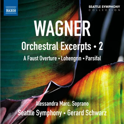 WAGNER, R.: Orchestral Excerpts, Vol. 2 (Seattle Symphony, Schwarz) 专辑 Gerard Schwarz