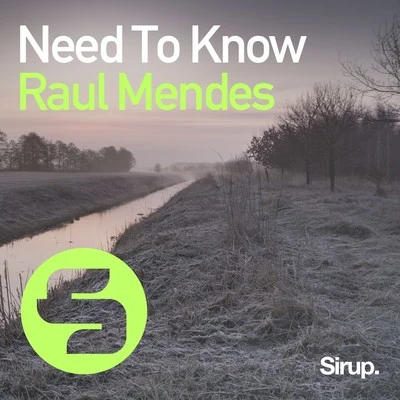 Raul Mendes Need to Know