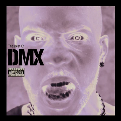 The Best Of DMX 專輯 DMX