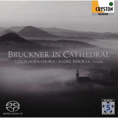 Bruckner In Cathedral 专辑 Radek Baborák