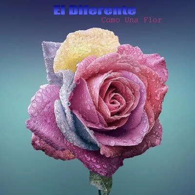 Como Una Flor 專輯 El Diferente