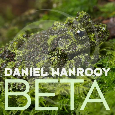 Beta 专辑 Daniel Wanrooy