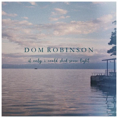 If Only I Could Shed Some Light 专辑 Dom Robinson/Diviners